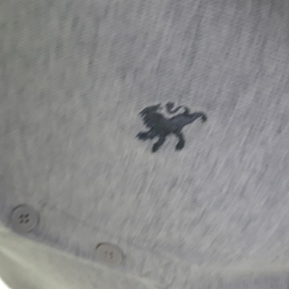 Express Light Grey Lightweight Button Hoodie. Lar… - image 4